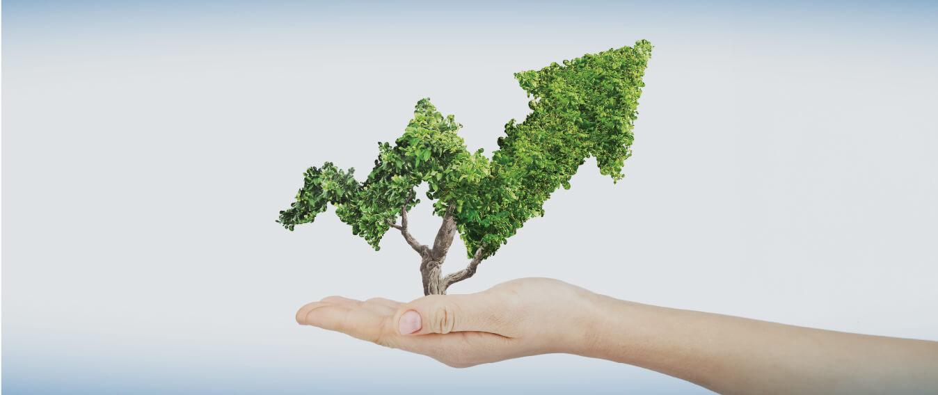 Sürdürülebilirlik ve Değer Artışı Danışmanlığı