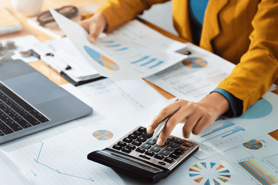 Finans ve Bütçe Danışmanlığı